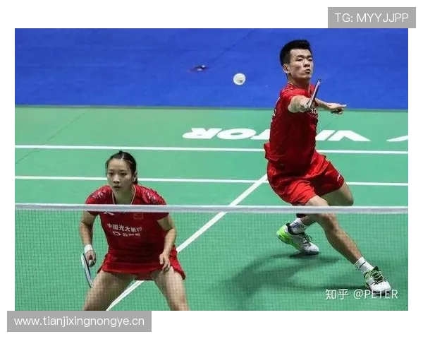 以羽毛球战术配合提升双打团队协同与攻防转化路径研究策略机制探讨