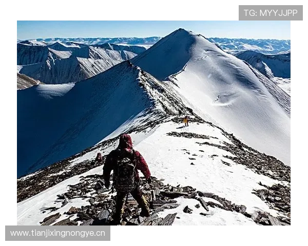 全面解析高山徒步安全与登山前后注意要点及应急准备全指南详解篇